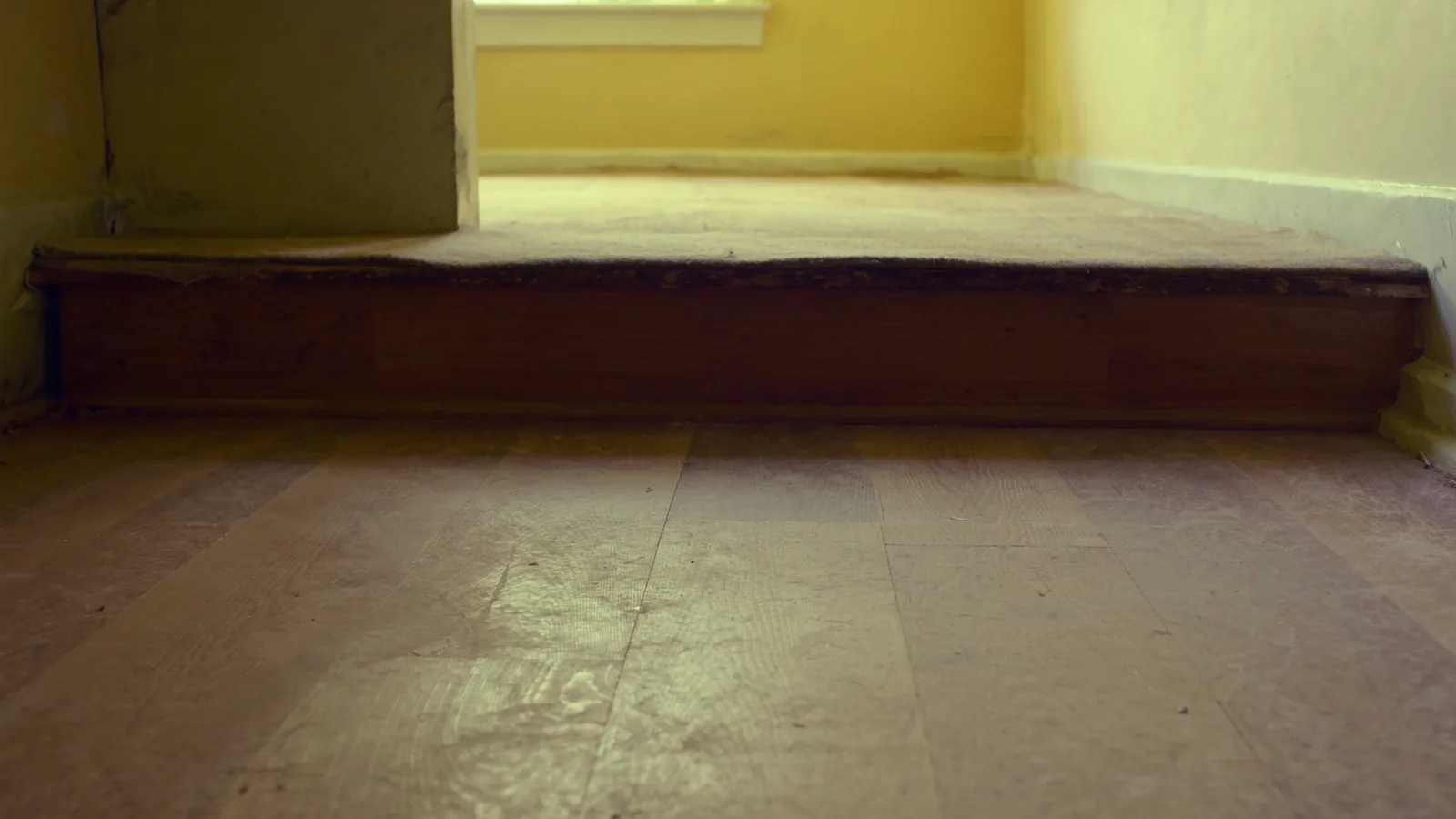 Worn 1970s Seattle home carpet before flooring replacement — stained wall-to-wall in a Wallingford living room